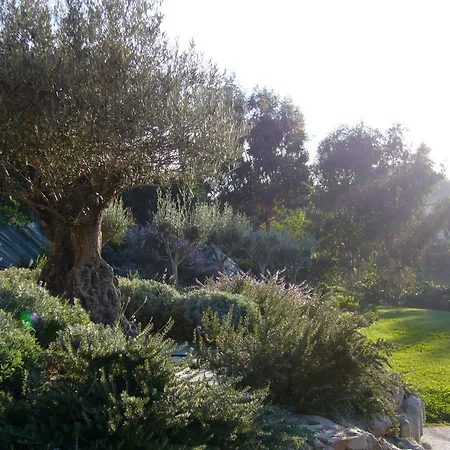 Le Paradou Carqueiranne